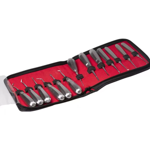 Juego de 13 Elevadores Dentales de Acero Inoxidable, Instrumentos de Cirugía Oral, Kit de Extracción de Dientes, Profesional - Product Image 3