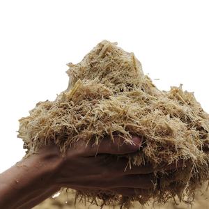 ส่งออกเยื่อชานอ้อยบริสุทธิ์50ตาข่ายสำหรับการผลิตเยื่อกระดาษ - Product Image 1