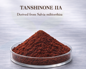 HGO, suministro directo de fábrica, extracto de Salvia miltiorrhiza Natural puro (grado alimenticio saludable), especificación Tanshinone IIA 0.3% - Product Image 4