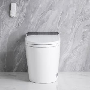 MWD WATERMARK SAA Certificación <span class=keywords><strong>Smart</strong></span> Toilet Factory Australia Premium Cerámica Inodoro inteligente al por mayor - Product Image 4