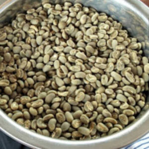 Granos de Café Verde Arábica de la India, Cosecha Fresca, 100% Puro, Especialistas en Mezclas de Café que Desarrollan Perfiles Únicos de Café Tostado - Product Image 1