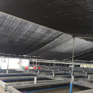 High Quality HDPE <b>Shade</b> Net 75% 3x100M Agricultural Sun <b>Shade</b> Net for Greenhouse Farm and Outdoor Cover - Product Image 3