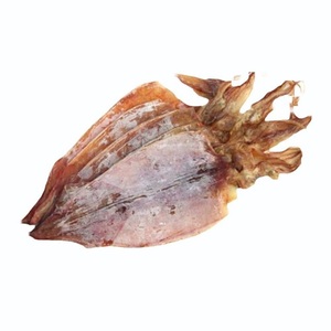 Hueso de Sepia Seco de Alta Calidad Hecho en Fábrica, 100% Natural, Grado 1, Paquete al Vacío de 10 kg, Mariscos, Vida Útil de 12-24 Meses - Product Image 2