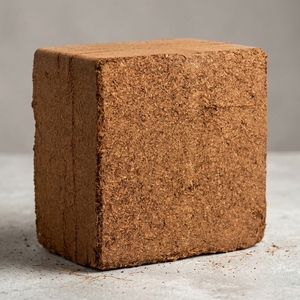 Wholesale Cocopeat Blocks 30x30x10cm 5kg Per Piece Low EC Value for Hydroponics & Garden Use From Indian Suppliers - Product Image 2