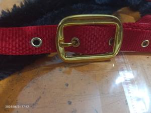 BRAND ZONE - Collar de Cabeza de Nailon Ajustable, Duradero y Cómodo para Montar a Caballo, Tamaño Personalizado, Accesorios Ecuestres - Product Image 4