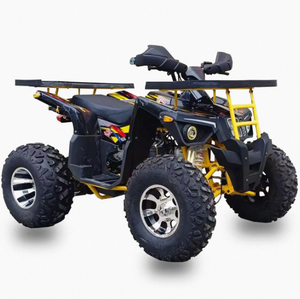 Quad 200cc 4 temps pour adultes, nouveau modèle 2026, transmission automatique 2WD/4WD commutable, OEM ODM DIY - Product Image 2