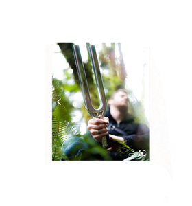 Diapasons de fabrication Mars International, paire, grand modèle - Haines ... - Product Image 3