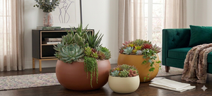 Maceta con Forma de Tazón, Recubierta de Hierro, Duradera, Multiusos, para Interiores, con Drenaje - Product Image 3