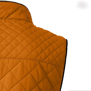 Veste sans manches matelassée en duvet pour femme, avec fermeture éclair, personnalisable avec logo, prix usine, pour l'hiver - Grande Vente - Product Image 6