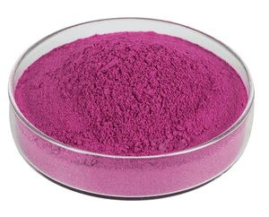 Exportateur de poudre de fruits naturels, poudre de fruit du dragon du Vietnam - Product Image 5