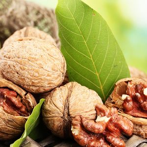 Noix de Grenoble séchées brutes de haute qualité en gros, paquet de 10 kg à prix avantageux, qualité supérieure et stock important, livraison rapide, prix bas - Product Image 1