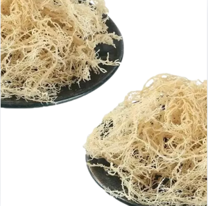 Mousse de mer violette sauvage séchée, matière première, fournisseur Vietnamien, emballée sous vide en sachet, vente en gros, meilleur prix - Product Image 6