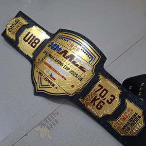 เข็มขัดแชมป์เทควันโด ยิวยิตสู ยูโด MMA มวยปล้ำ สำหรับการแข่งขัน แบบกำหนดเองได้ สำหรับทุกเพศ ผู้ผลิตขายส่ง OEM - Product Image 1