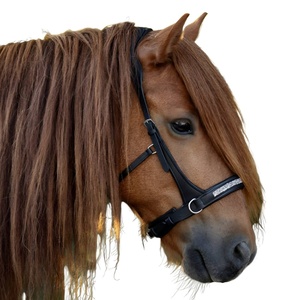 Équipement de cheval de haute qualité licou en cuir avec chaîne Hot Fix au meilleur prix - Product Image 6