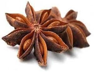 Top grade quality factory price Vietnamese star anise fresh dried natural spice bulk export from trusted manufacturer Vietnam - Product Image 3