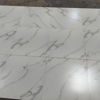 Carreaux de sol en céramique imprimés numériquement 600x600mm, surface mate, couleur blanche, pour villa moderne
