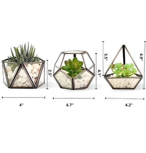 Maceta de Vidrio Pequeña para Suculentas, Plantas Aéreas y Musgo, Decoración Botánica para Hogar, Jardín, Oficina, Bodas, Regalo para Amantes de las Plantas - Product Image 1