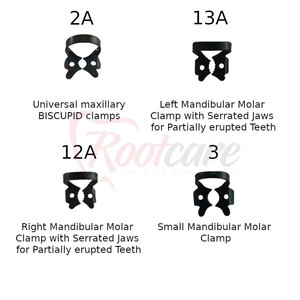Kit de Pinzas para Dique de Goma de Alta Calidad, Fabricado en Pakistán, Acero Inoxidable, Más Vendido - Product Image 3