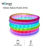 Bande lumineuse LED RVB adressable DC5V WS2812B en fibre néon, synchronisation musicale USB, tissée et flexible pour la décoration de chambre et de fêtes