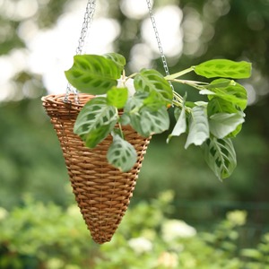 Panier suspendu en rotin naturel en forme de cône, parfait pour la présentation de pots de fleurs, décoration de plantes intérieures et extérieures, tissé à la main en Inde - Product Image 1