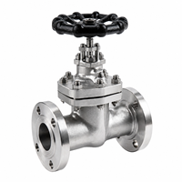 Vanne à opercule manuelle J41H CF8M Classe 300 pour applications industrielles pétrolières et gazières avec corps en acier inoxydable