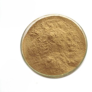 OEM Bulk <b>Saw</b> Palmetto Powder 100% Pure & Natural <b>Saw</b> Palmetto Powder Premium <b>Saw</b> Palmetto Leaves Powder For Hair Growth - Product Image 6
