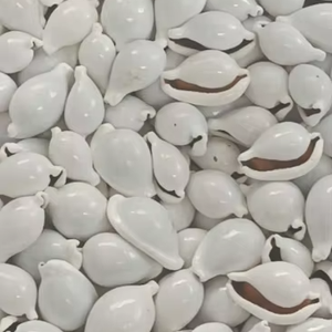 เปลือกหอยขาวขัดเงาคุณภาพดี ขายส่งเปลือกหอยธรรมชาติจำนวนมาก สำหรับงานฝีมือ ทำเครื่องประดับ DIY - Product Image 1