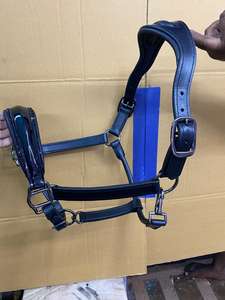 Équipement équestre de haute qualité en cuir de vache souple teint en tambour, pour écurie : Licol, têtière et selle australienne - Product Image 3