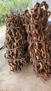 Lianes séchées longue durée |   Plantes grimpantes de forêt naturelles séchées au soleil |   Décor en bois torsadé robuste |   Exportateur en gros fiable - Product Image 5