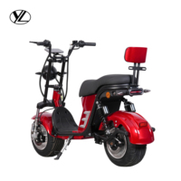 Vélo électrique pour adultes avec batterie au lithium légère