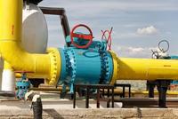 Bride forgée en acier inoxydable personnalisable pour la connexion de conduites et d'équipements ANSI B16.5 DIN