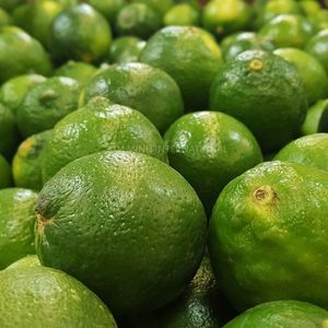Citron vert frais du Vietnam avec une production toute l'année - Product Image 3