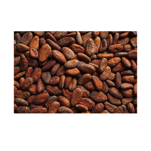 Fèves de cacao de haute qualité en gros, prêtes à l'exportation, qualité supérieure, approvisionnement mondial - Product Image 1