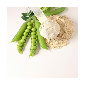 Peptides de protéines de pois bioactifs de qualité supérieure, approvisionnement en vrac, exportation directe usine, additifs - Product Image 5