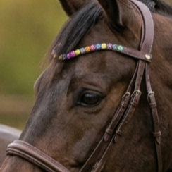 Frontal de luxe en cuir noir rembourré, avec cristaux multicolores arc-en-ciel et strass ombrés, forme anatomique en U, personnalisable, élégant - Product Image 6