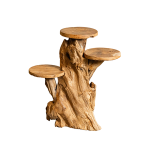 ARTERRA Support de Présentation en Bois Artisanal Rustique en Racine de Teck Bio de Qualité Supérieure pour Décoration Intérieure et Extérieure, Idéal pour la Salle de Diwali - Product Image 1