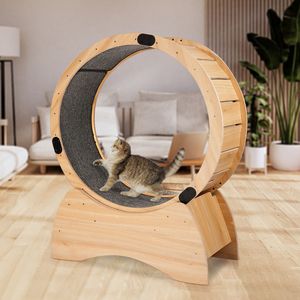 Grande Kitty Sport Toy riducendo la noia filatura di graffiare divertimento sul gatto in moquette rossa tapis roulant ruota di esercizio per il Fitness felino - Product Image 1