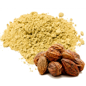 Poudre de Haritaki en vrac à mailles fines, qualité supérieure, 100 % naturelle, de qualité alimentaire, poudre de Terminalia Chebula, fournisseur en gros d'Inde - Product Image 6