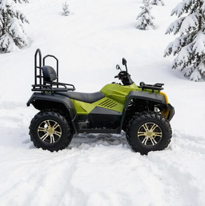 Quad tout-terrain adulte Chithan DIY >300cc 4 temps 4x4 Boîte de vitesses automatique Blocage de différentiel Vitesse 75-100km/h Plastique ODM - Product Image 4