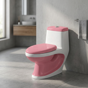WC monobloc moderne bicolore en céramique avec lavabo intégré pour projets de salle de bain de luxe contemporains - Product Image 2