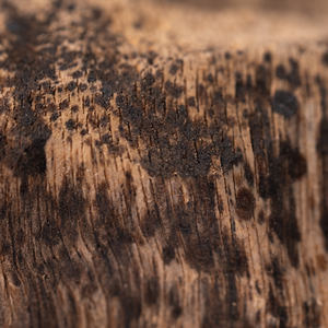 Oud Chips for Bakhoor Burning - Product Image 6