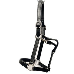Harnais de cheval en cuir ferme, têtière structurée, réglable et durable pour l'entraînement, le pâturage et la manipulation quotidienne - Product Image 3