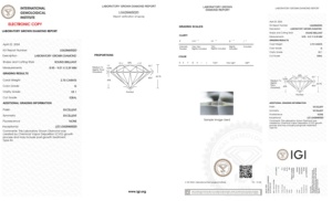 2,70 CT. G Color VS1 Clarity CVD Lab Grown Diamond Round Brilliant Cut 8,95 MM IGI Certified para Forever Ring - Product Image 2