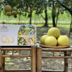 Pamplemousse DIEN (BUOI DIEN) biologique frais et entièrement mûr de la Coopérative Hanoi Xanh HNX13 VIP 2 - Product Image 1