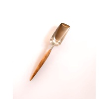 Cuillère à crème glacée en bois, décorative en laiton argenté poli sur mesure avec manche en métal argenté, 1 pièce
