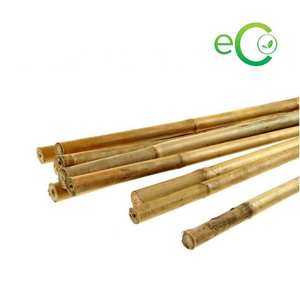 Natural Tonkin Bamboo <b>Stakes</b> Raw Material Agricultural Bamboo Poles and Garden Canes <b>for</b> Climbing Plants - Product Image 4