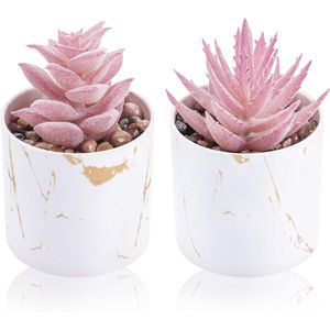 Lot de 2 plantes succulentes artificielles roses pour la décoration de la maison et du bureau, accessoires de bureau, verdure pour la maison et le bureau - Product Image 1
