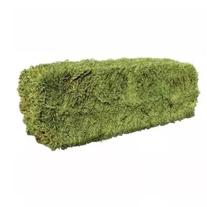 Heno de Alfalfa de Primera Calidad, En Pacas, Entrega Rápida Disponible - Product Image 1