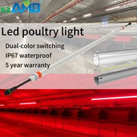 Tube LED Rouge/Spectre Complet pour Volaille, Sans Scintillement, Étanche IP67, Résistant à l'Ammoniac, pour Élevage de Poules Pondeuses, de Poulets de Chair et de Poulets Reproducteurs