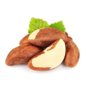 Noix du Brésil Bio Séchées en Vrac – Emballage Naturel, Qualité Alimentaire, Longue Durée de Conservation pour la Vente en Gros - Product Image 1